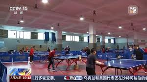 2026年国际足联世界杯 绿意融入家园！别墅草坪绿化工程缔造居住新境界！